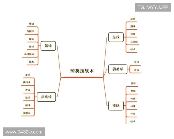 成都排球队战术分析与发展策略探讨之路