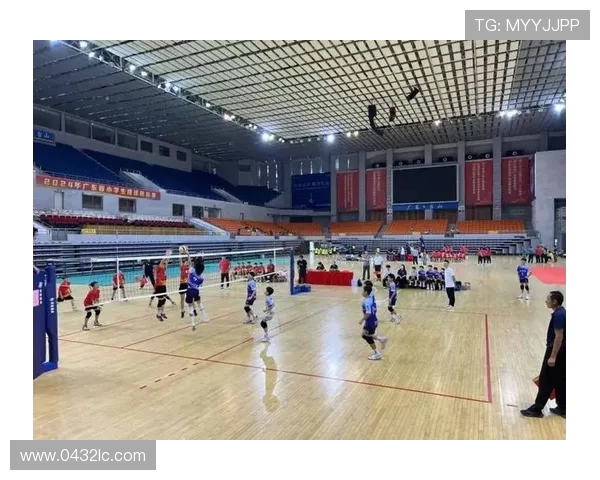 排球心理素质评比揭晓深圳排球队荣登第九名引关注