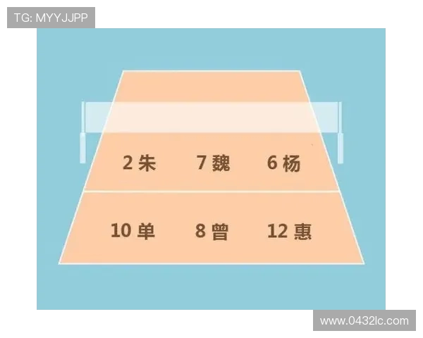 杭州排球队意识排名创新高展现团队实力与战术智慧