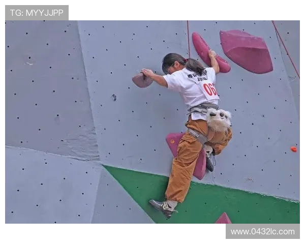 西安攀岩队与南京攀岩队赛后分析力量对比与技术探讨