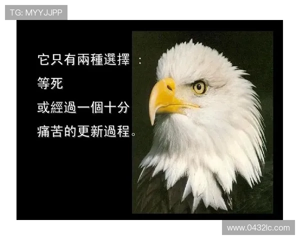 常林的奋斗与成长：从平凡到卓越的励志故事与人生启示