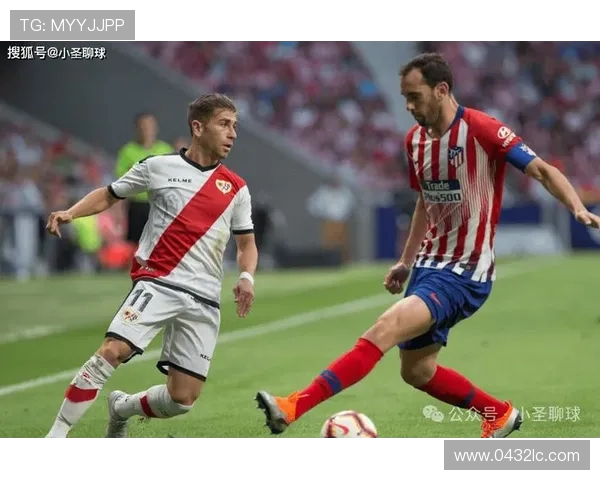 惠灵顿凤凰与墨尔本城对决前瞻分析及比赛看点解析