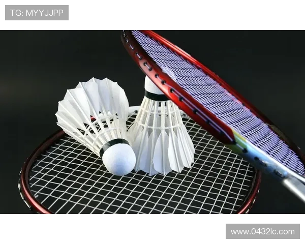 上海羽毛球队引领最新羽毛球意识TOP10榜单全景解析